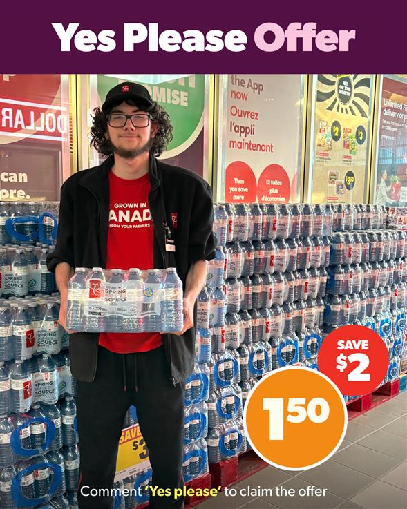 PC 24pk Spring water