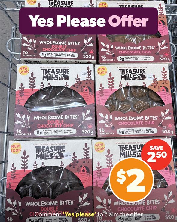 TREASURE MILLLS WHOLESOME BITES