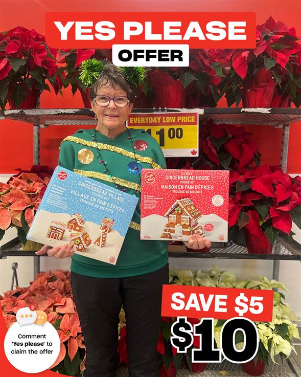 Build Your Own Gingerbread Village or Gingerbread House Kits