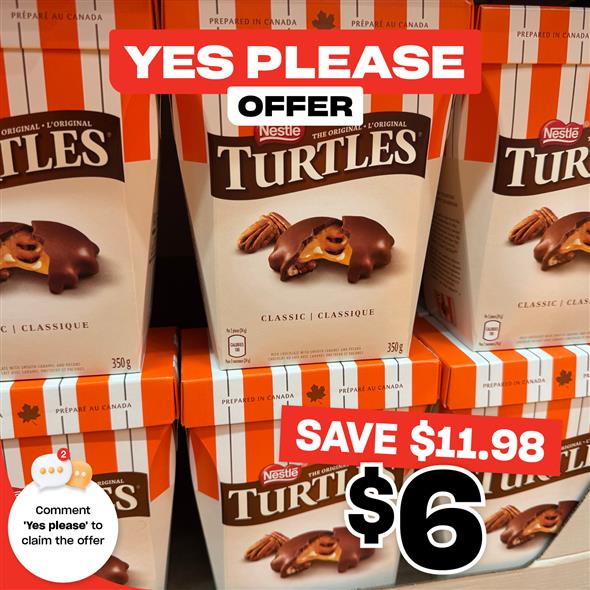 Nestle Turtles Chocolate Original 300G