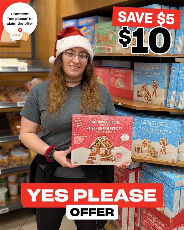 EZ Build Gingerbread House Kit