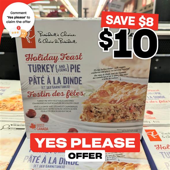 Holiday Feast Turkey Pie