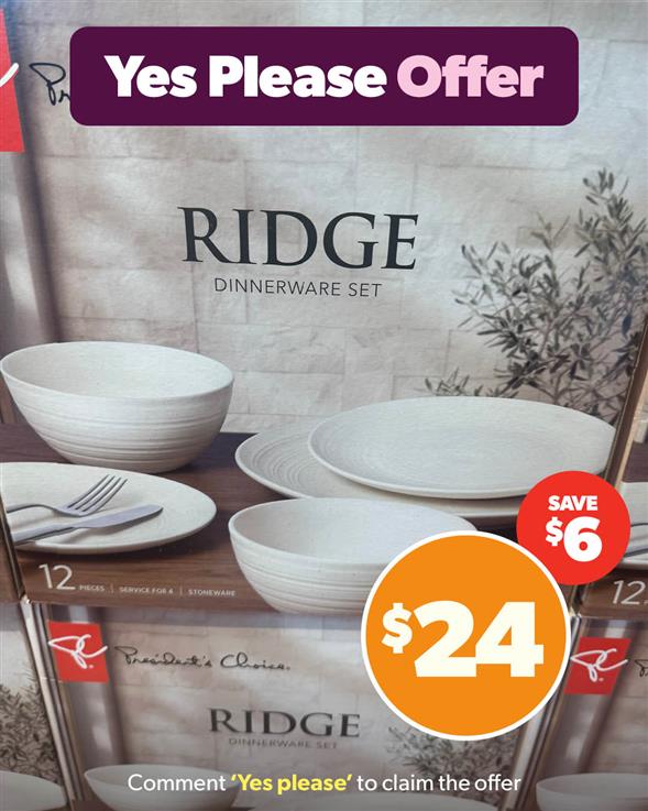 Ridge Dinner set 12 piece