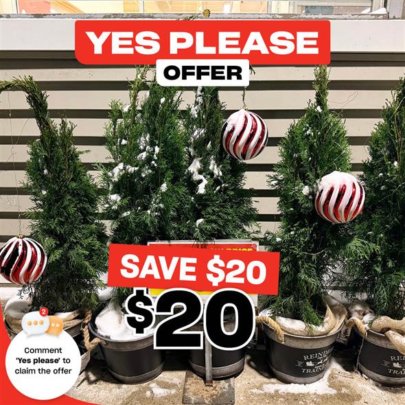 Holiday Planters