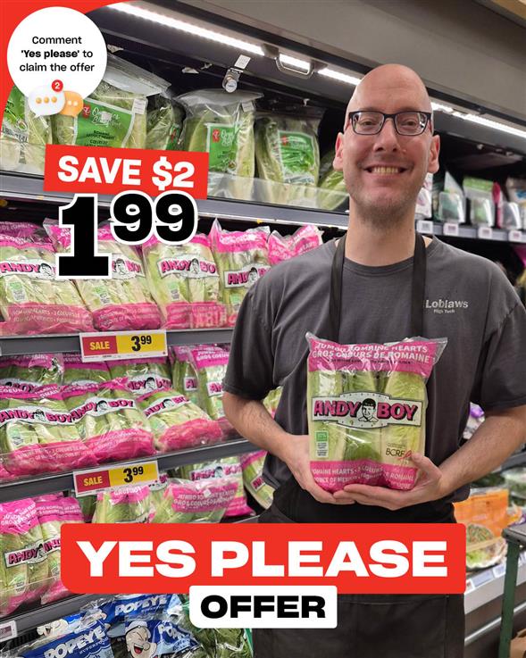 Andy Boy 3Pack Romaine Hearts