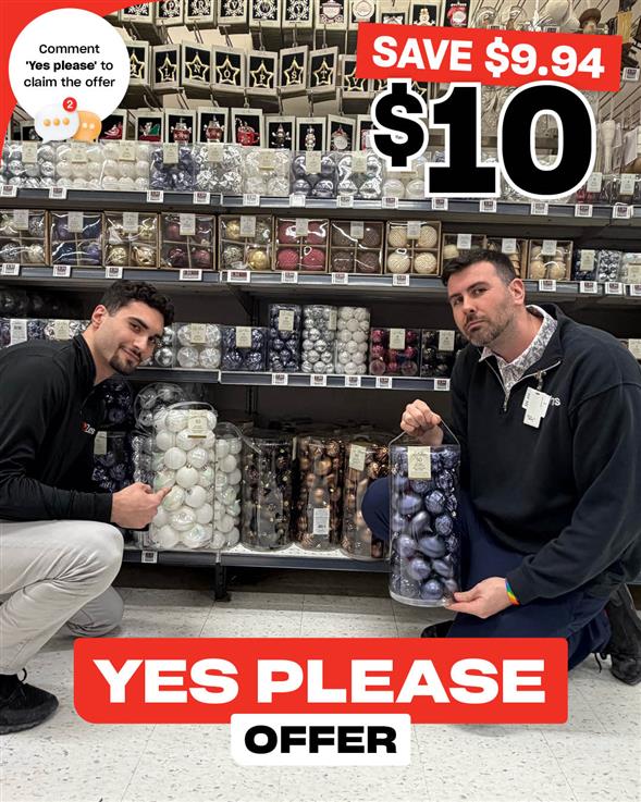 Life at Home 50 Pack Ornaments