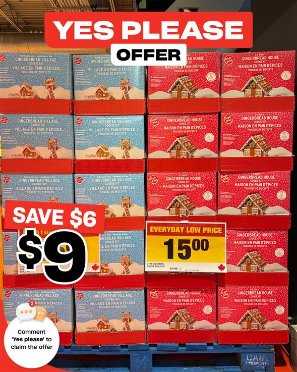 Gingerbread Cookie Kit