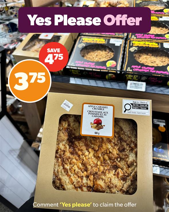 AV 8 inch pie