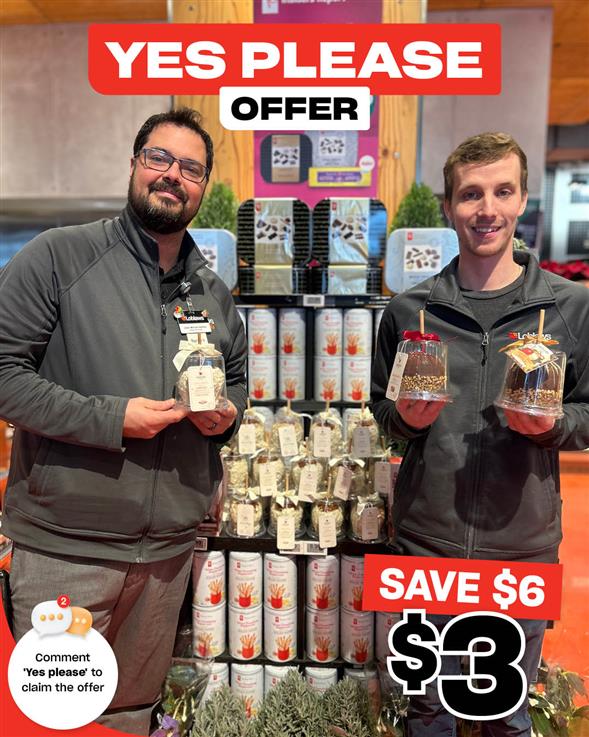 Chocolate Covered Apples