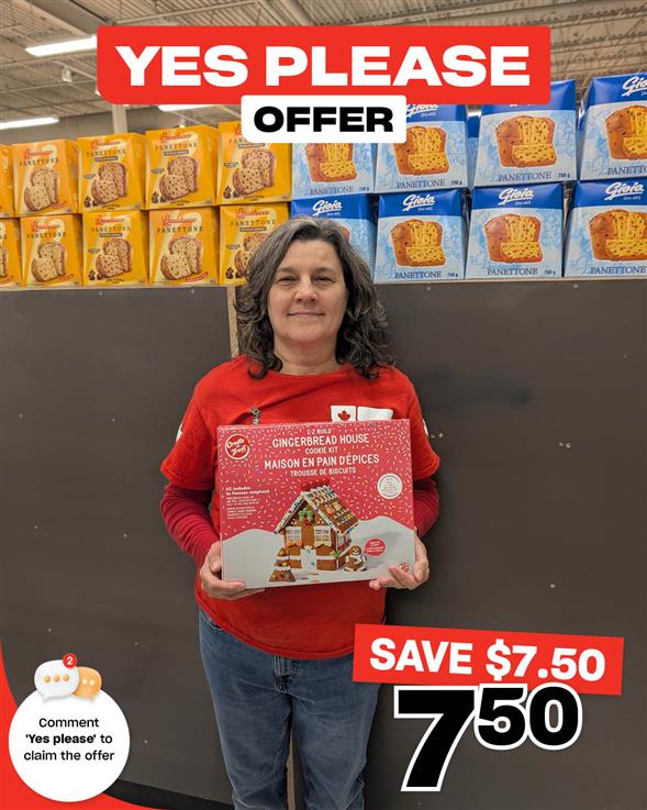 Ez Build Gingerbread House Kit