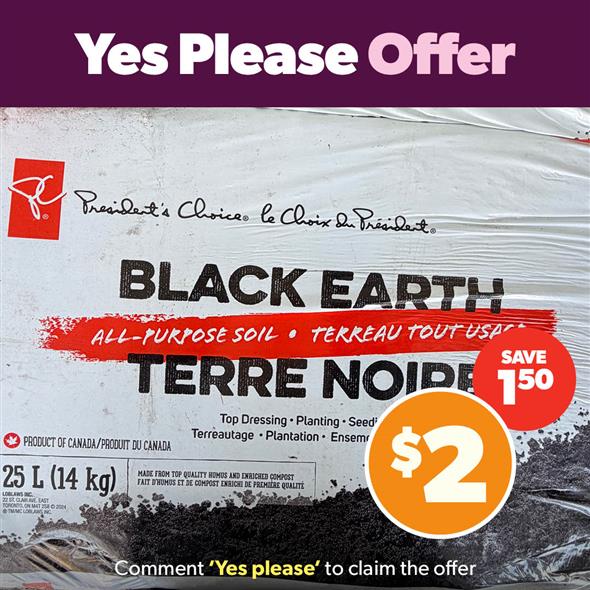 Black earth